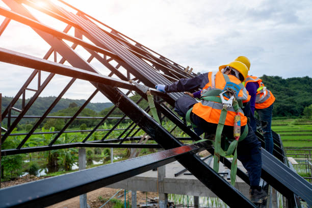 Best Roof Repair Services  in Carrington, ND