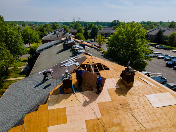 Best Best Roofing Contractors  in Carrington, ND