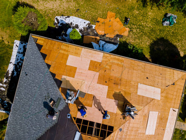 Best Roof Maintenance Services  in Carrington, ND