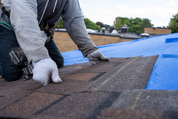 Professional Roofing Contractor in Carrington, ND