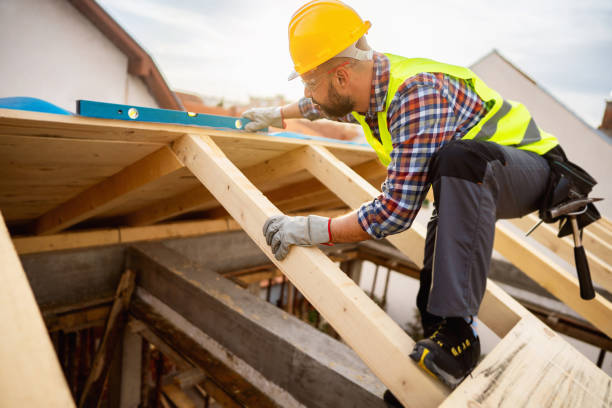 Best Local Roofing Companies  in Carrington, ND