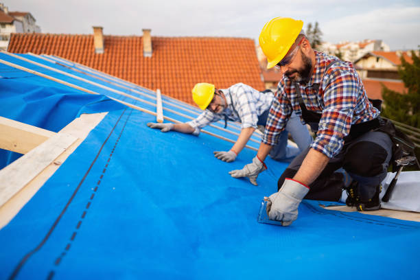 Best Roof Gutter Cleaning  in Carrington, ND