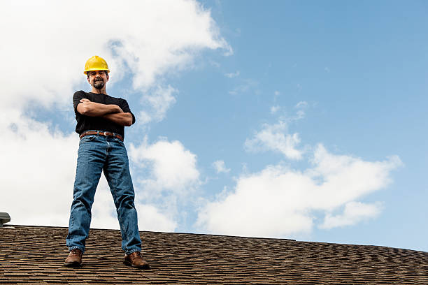 Best Roof Gutter Cleaning  in Carrington, ND