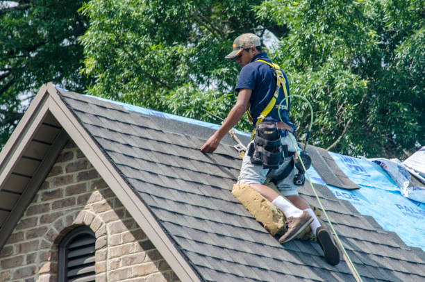 Best Local Roofing Companies  in Carrington, ND